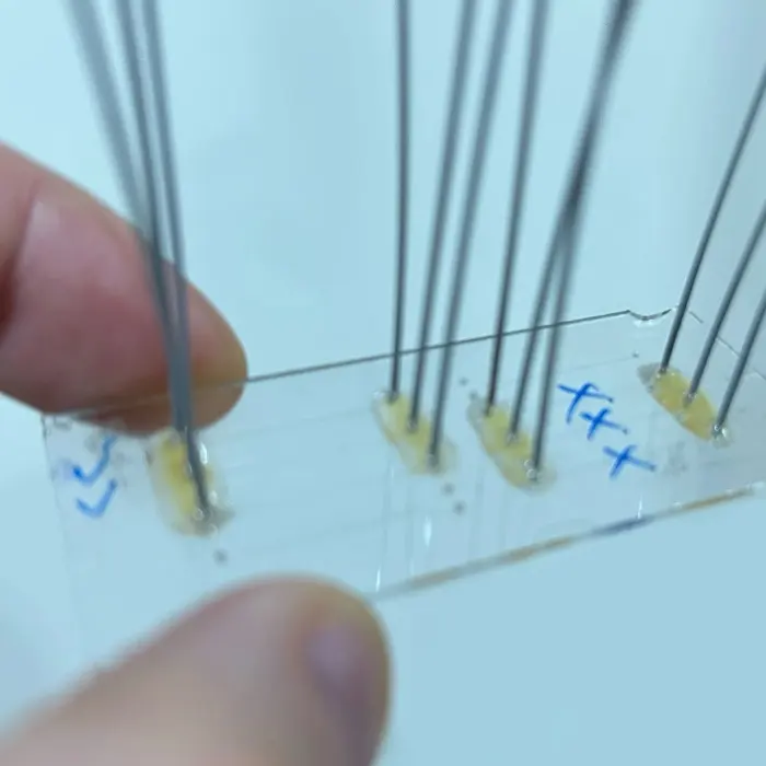 Glass microfluidics chip-to-world connections.